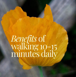 The 15-Minute Movement Practice: Walking as a Daily Ritual