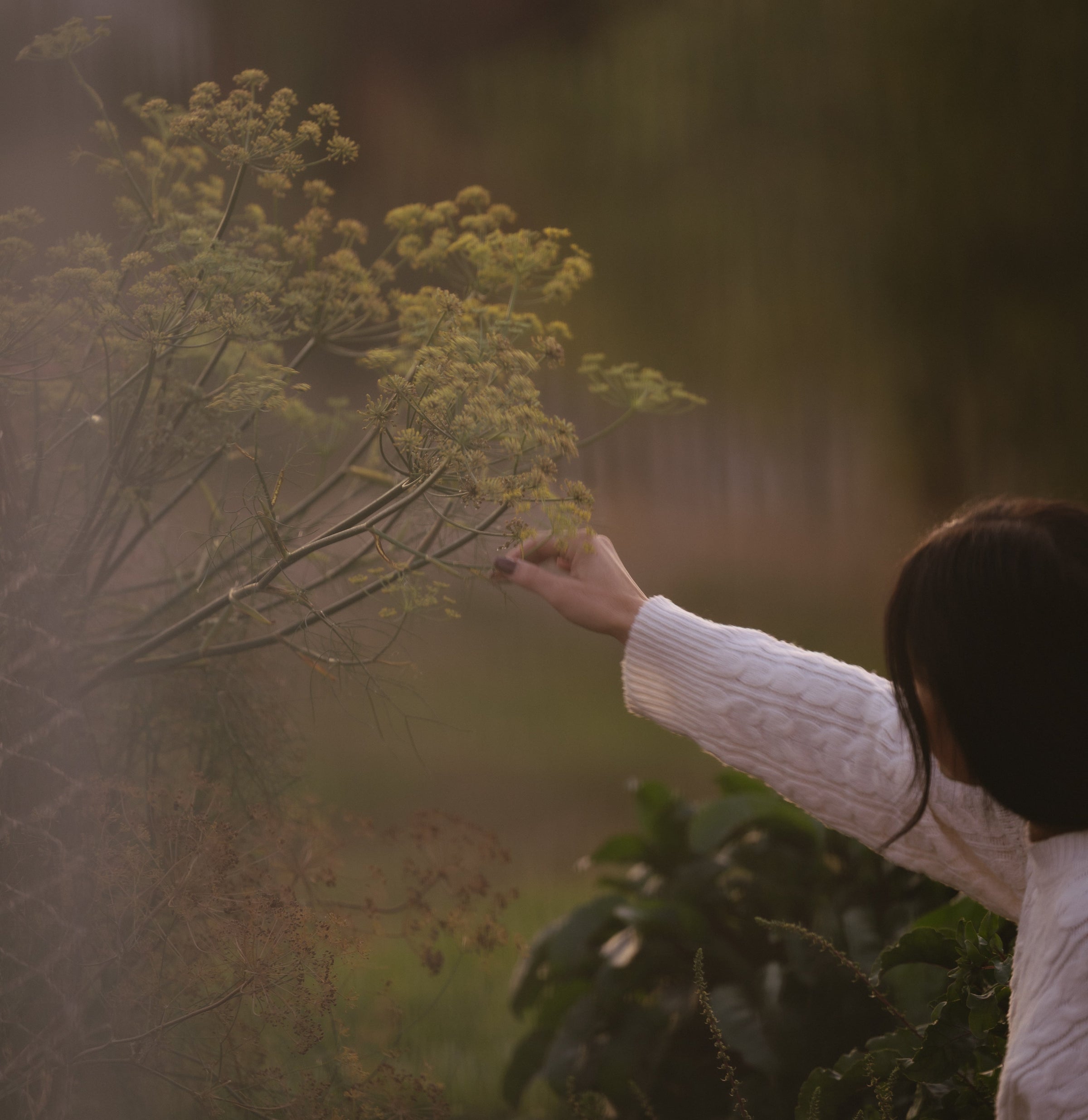 Transform Your Garden with Omica Grow: A Complete Guide to Biodynamic Plant Nutrition