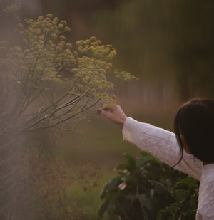 Transform Your Garden with Omica Grow: A Complete Guide to Biodynamic Plant Nutrition
