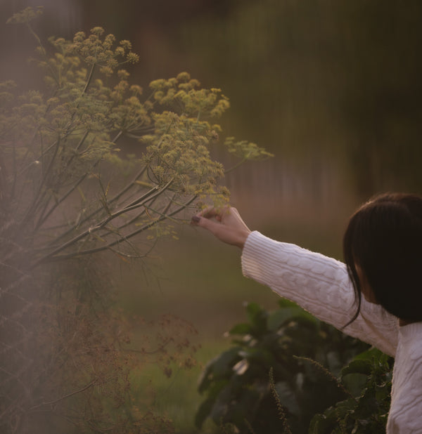 Transform Your Garden with Omica Grow: A Complete Guide to Biodynamic Plant Nutrition