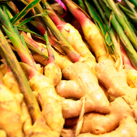 Organic Ginger Oleoresin 20% Gingerols - 100g