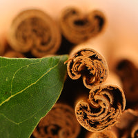 Organic Ceylon Cinnamon Bark Extract Powder