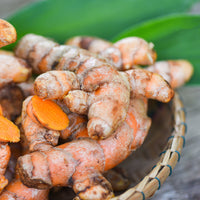 Organic Freeze-Dried Turmeric Juice Powder