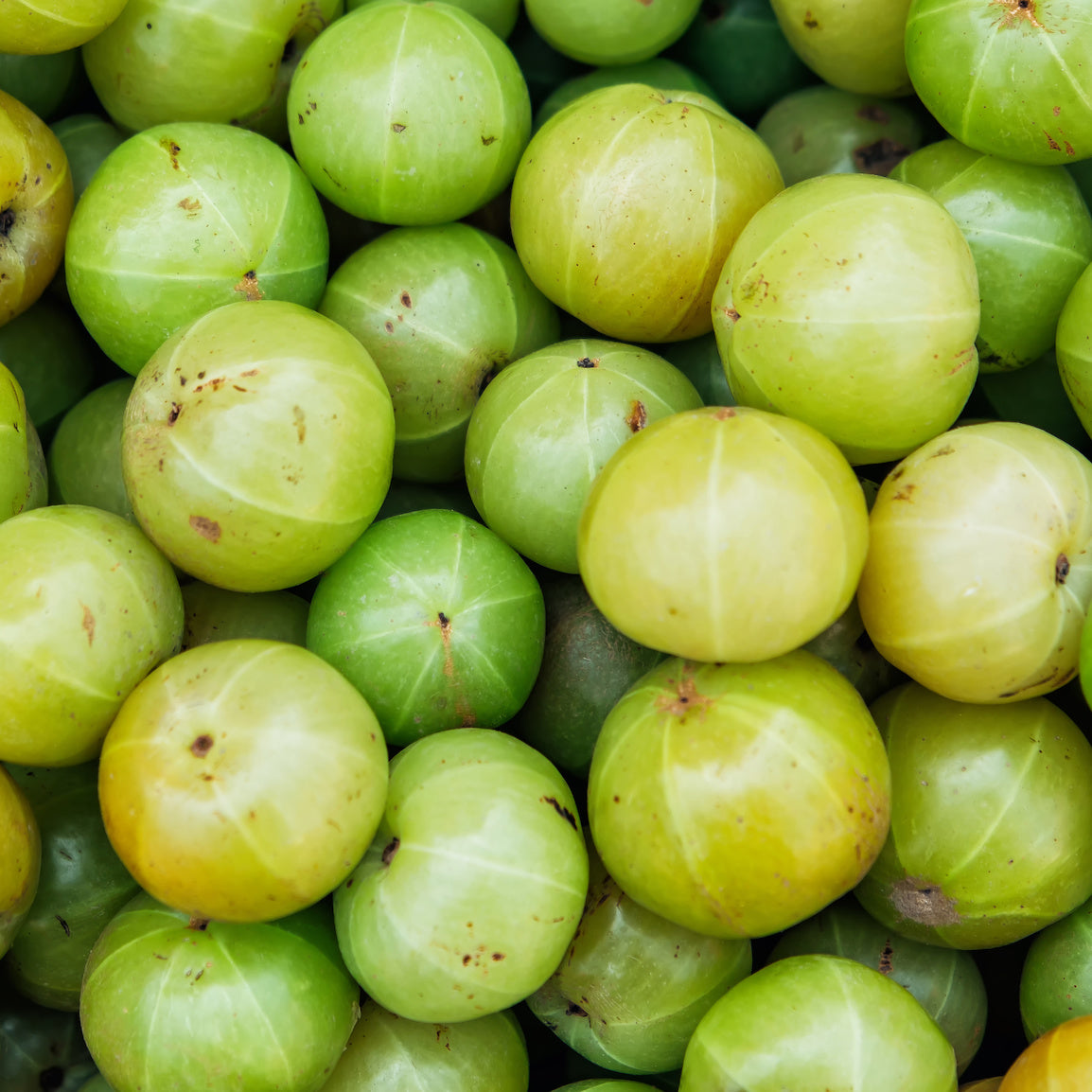 Organic Amla Extract Paste (100g)