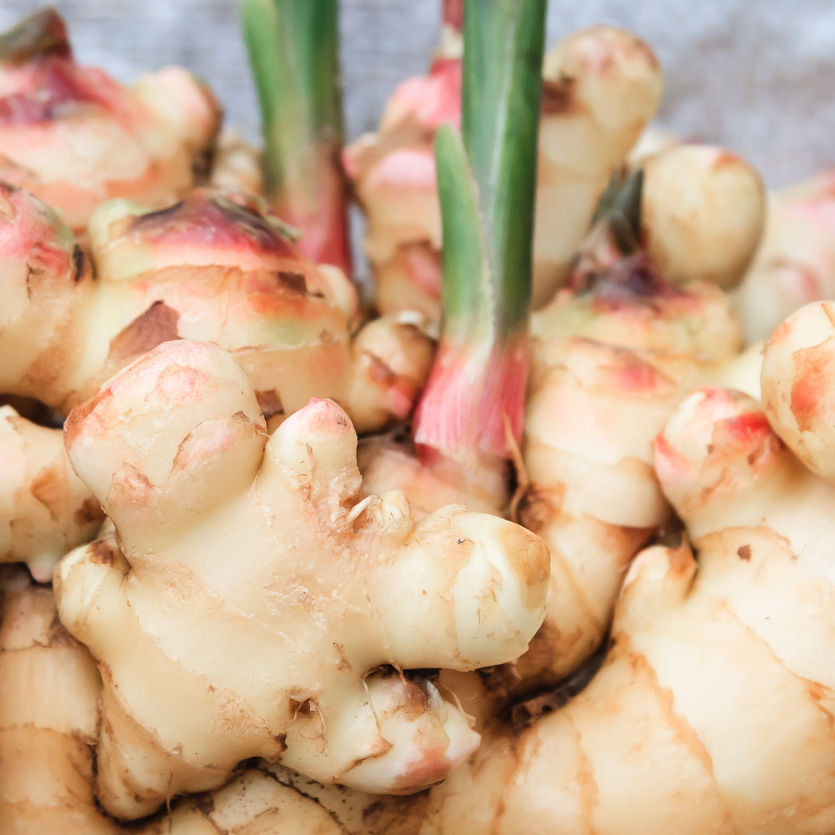 Organic Ginger Oleoresin - CO2 Extracted - 100g (3.5 oz)