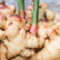 Organic Ginger Oleoresin - CO2 Extracted - 100g (3.5 oz)
