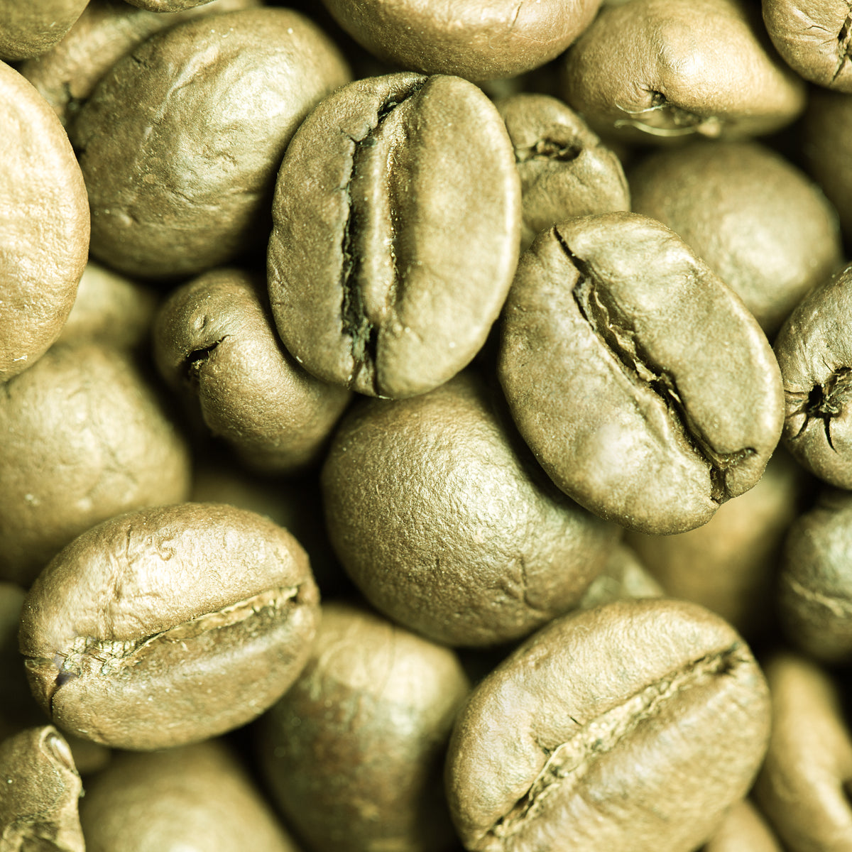 Organic Green Coffee Bean Extract Paste - 20% Chlorogenic Acids (100g)