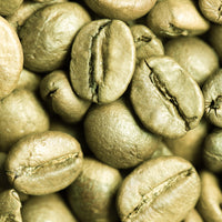 Organic Green Coffee Bean Extract Paste - 20% Chlorogenic Acids (100g)